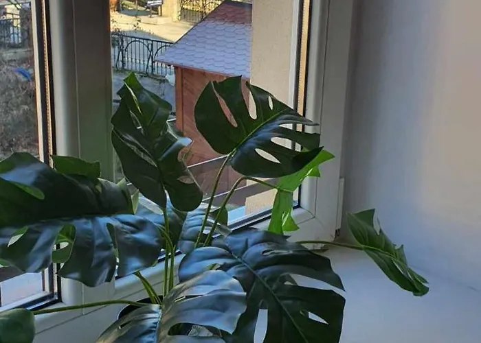 Zdrojowa - Z Widokiem Na Deptak * Polanica-Zdroj